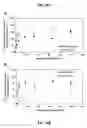 Fig. 15 - Glass-immobilized, protein-acrylamide copolymer and method of making thereof