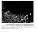 Fig. 01 - Method and apparatus for detecting phycocyanin-pigmented algae and bacteria from reflected light