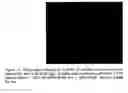 Fig. 14 - Method and apparatus for detecting phycocyanin-pigmented algae and bacteria from reflected light