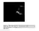 Fig. 15 - Method and apparatus for detecting phycocyanin-pigmented algae and bacteria from reflected light