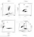 Fig. 03 - Reagent and process for the identification and counting of biological cells
