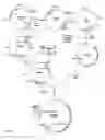 Fig. 02 - Identification of 3-ketosteroid 9-alfa-hydroxylase genes and microorganisms blocked in 3-ketosteroid 9-alfa-hydroxylase activity