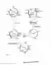 Fig. 05 - Identification of 3-ketosteroid 9-alfa-hydroxylase genes and microorganisms blocked in 3-ketosteroid 9-alfa-hydroxylase activity