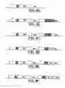 Fig. 16 - Compositions and methods for non-targeted activation of endogenous genes