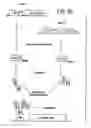 Fig. 38 - Compositions and methods for non-targeted activation of endogenous genes