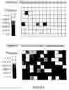 Fig. 04 - Method to screen phage display libraries with different ligands