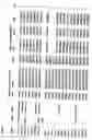 Fig. 05 - Method to screen phage display libraries with different ligands