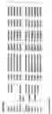 Fig. 07 - Method to screen phage display libraries with different ligands