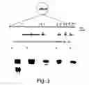 Fig. 04 - Genes from a gene cluster