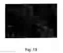 Fig. 15 - Pulse-medium perfusion bioreactor with improved mass transport for multiple-3-D cell constructs