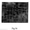Fig. 16 - Pulse-medium perfusion bioreactor with improved mass transport for multiple-3-D cell constructs
