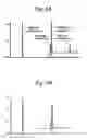 Fig. 05 - Brexetoxin derivative, production process thereof and method for detecting shellfish neurotoxin using same