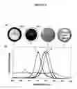 Fig. 07 - Alloyed semiconductor quantum dots and concentration-gradient alloyed quantum dots, series comprising the same and methods related thereto