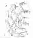 Fig. 10 - Electrophoresis apparatus having at least one auxiliary buffer passage