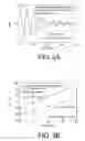 Fig. 03 - Methods of quantitatively measuring biomolecules