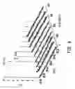 Fig. 07 - Methods of quantitatively measuring biomolecules