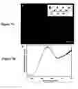 Fig. 08 - Mesoscale pyramids, arrays and methods of preparation