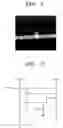 Fig. 02 - Organic light emitting display device and method of manufacturing the same