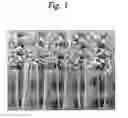 Fig. 02 - Process for producing semiconductor integrated circuit device