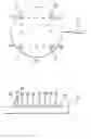 Fig. 01 - Method of protecting semiconductor chips from mechanical and ESD damage during handling