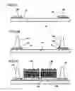 Fig. 26 - Electro-optical device, manufacturing method of the same, and electronic apparatus