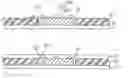 Fig. 01 - Micro-electronic package structure and method for fabricating the same