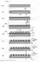 Fig. 02 - Printed wiring board, its manufacturing method, and circuit device