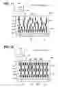 Fig. 07 - Wafer and wafer cutting and dividing method