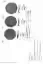 Fig. 14 - Plasma doping method and plasma doping apparatus