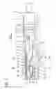 Fig. 02 - Terminal fitting and a connector provided therewith