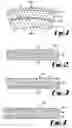 Fig. 02 - Condensation dryer fabric
