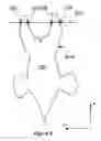 Fig. 07 - Artificial vision inspection method and system