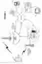 Fig. 02 - ELECTRONIC PROGRAM GUIDE FOR MOBILE TV DEVICE