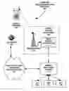 Fig. 01 - Network support for mobility system capacity planning using real-time snapshot across networked mobile switching centers for roaming mobile terminals