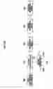 Fig. 45 - Device and method for expressing status of terminal using character