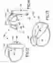 Fig. 10 - Child motion device