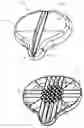 Fig. 03 - Portable therapeutic seat exercise apparatus and method