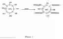 Fig. 02 - Multiple emulsion hard surface cleaning compositions
