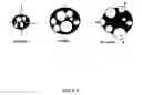 Fig. 04 - Multiple emulsion hard surface cleaning compositions