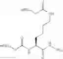 Fig. 40 - Selectively conjugated peptides and methods of making the same