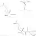 Fig. 06 - Peptoid compounds