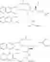 Fig. 28 - Peptoid compounds