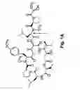 Fig. 02 - Didemnin analogs and fragments and methods of making and using them