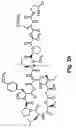 Fig. 04 - Didemnin analogs and fragments and methods of making and using them