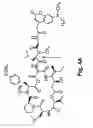 Fig. 08 - Didemnin analogs and fragments and methods of making and using them