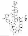 Fig. 19 - Didemnin analogs and fragments and methods of making and using them