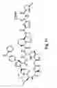 Fig. 20 - Didemnin analogs and fragments and methods of making and using them