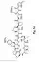 Fig. 23 - Didemnin analogs and fragments and methods of making and using them
