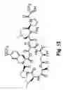 Fig. 24 - Didemnin analogs and fragments and methods of making and using them