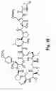Fig. 27 - Didemnin analogs and fragments and methods of making and using them
